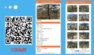 ea06c3df-04ff-4ee6-a0c7-40f4846ddab3.jpg